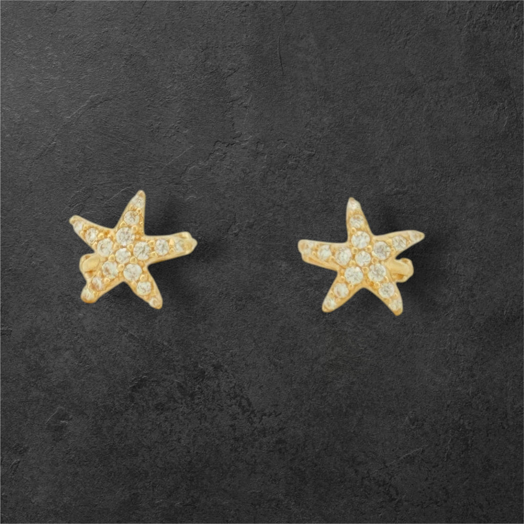 Earrings boy Star 10k zicornia Weight 1gm